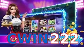CWIN222