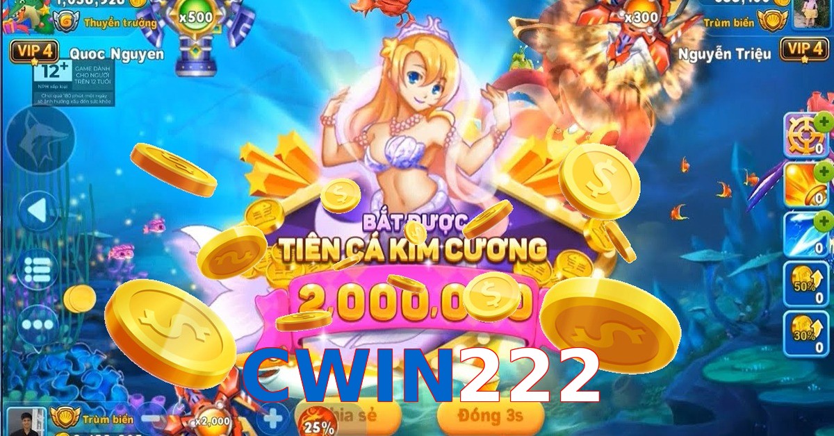 CWIN222